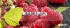 树莓的正确吃法