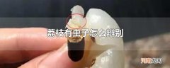 荔枝有虫子怎么辨别
