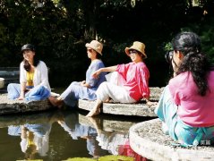 哪里有我的家 哪里有我的家是哪部电视剧