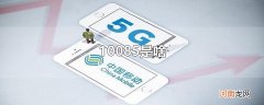 10085是啥