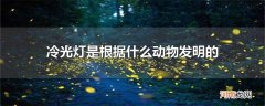 冷光灯是根据什么动物发明的
