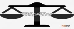 毛重是gw还是nw