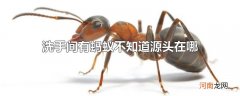 洗手间有蚂蚁不知道源头在哪
