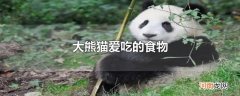 大熊猫爱吃的食物