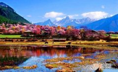 到哪里旅游 去哪旅游好玩