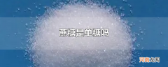 蔗糖是单糖吗