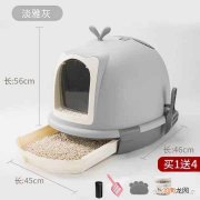 猫砂盆放哪里 猫砂盆放哪里比较好 怎么让幼猫熟悉