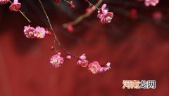 躲春可以去娘家吗？