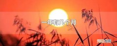 一年有几个月