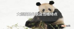 大熊猫的外貌及性格特点