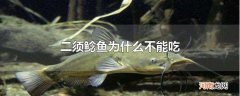 二须鲶鱼为什么不能吃