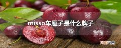 misso车厘子是什么牌子