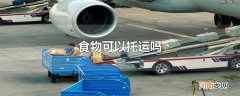 食物可以托运吗
