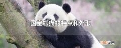 国宝熊猫的特点和外形