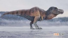 哪里有恐龙 哪里有恐龙主题公园