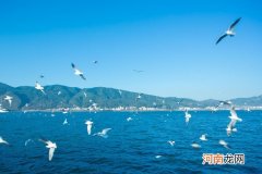 云南湖泊面积大小排名：滇池第一，洱海第二