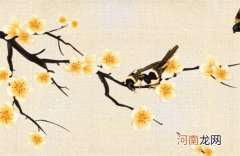 广告传媒公司名字取名 财源广进的企业取名大全