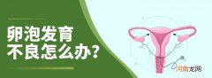 卵泡发育不良的表现 卵泡发育不好的原因是什么