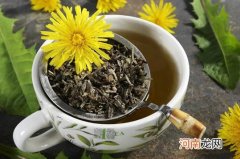 蒲公英茶可以空腹喝吗?空腹喝蒲公英茶会怎么样