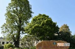 中山十大最受欢迎的景点：红博城上榜，它是旧厂改造而来