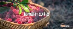 杨梅是什么味道