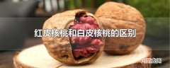 红皮核桃和白皮核桃的区别