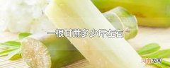 一根甘蔗多少斤左右