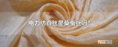 电力纺真丝是桑蚕丝吗?