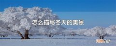 怎么描写冬天的美景