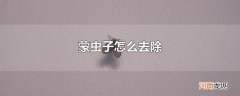 蒙虫子怎么去除