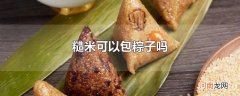 糙米可以包粽子吗