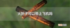火折子可以带上飞机吗