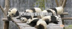大熊猫的爱好有哪些