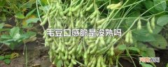 毛豆口感脆是没熟吗
