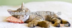 动物的睡觉姿势为什么各不一样
