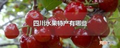 四川水果特产有哪些