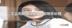 怎么判断自己是什么动物系长相