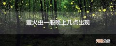 萤火虫一般晚上几点出现