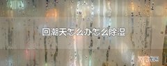 回潮天怎么办怎么除湿