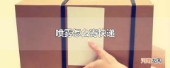 喷雾怎么寄快递