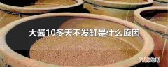 大酱10多天不发缸是什么原因