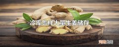 冷库怎样大量生姜储存