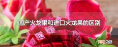 国产火龙果和进口火龙果的区别