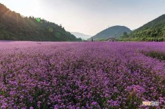 约会去哪里玩 和女朋友第一次约会去哪里玩