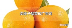 卖橙子的宣传广告词