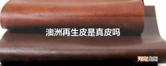 澳洲再生皮是真皮吗