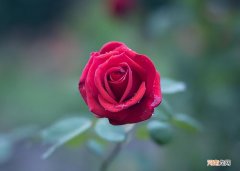 男人彻底爱上一个人的4种表现 男人彻底深爱你的征兆