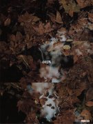 去哪里看 去哪里看小说