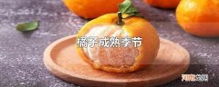 橘子成熟季节