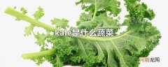 kale是什么蔬菜